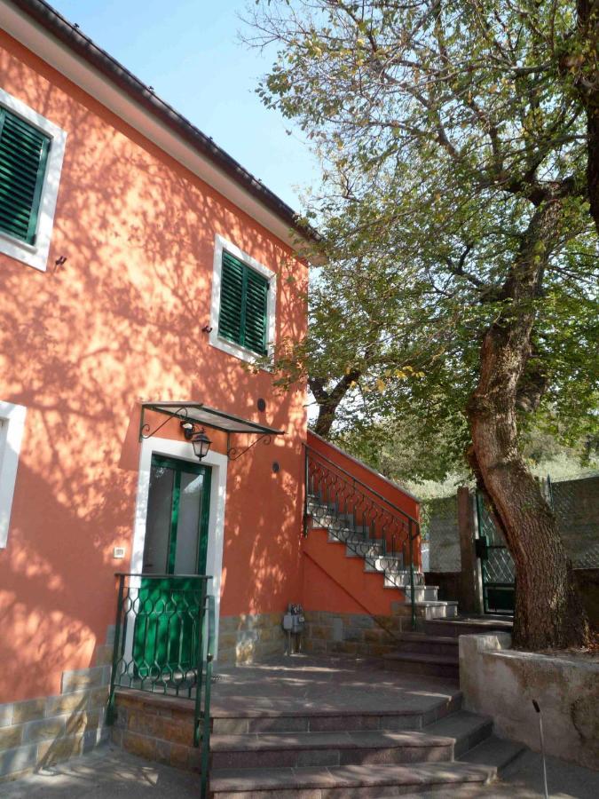 Ai 2 Olmi - Monolocali Nel Verde Муджа Экстерьер фото