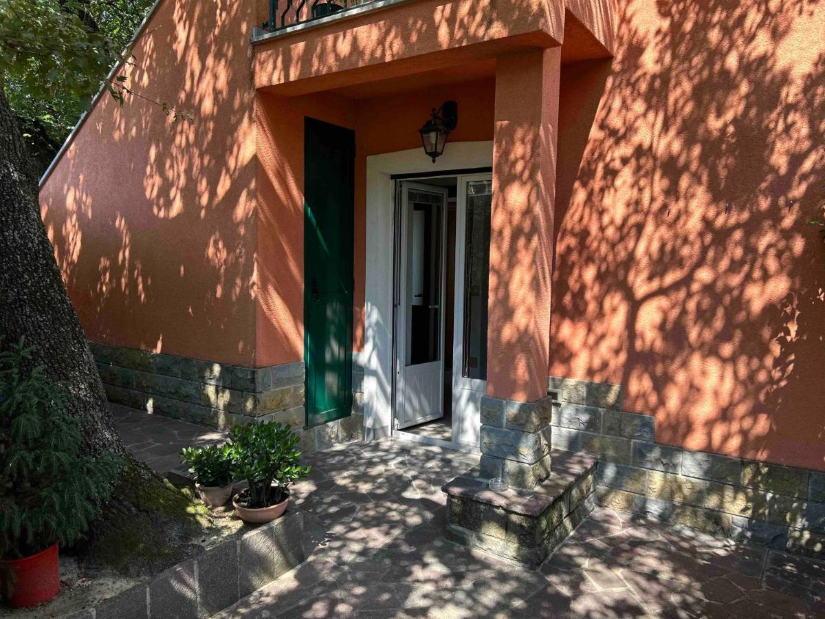 Ai 2 Olmi - Monolocali Nel Verde Муджа Экстерьер фото